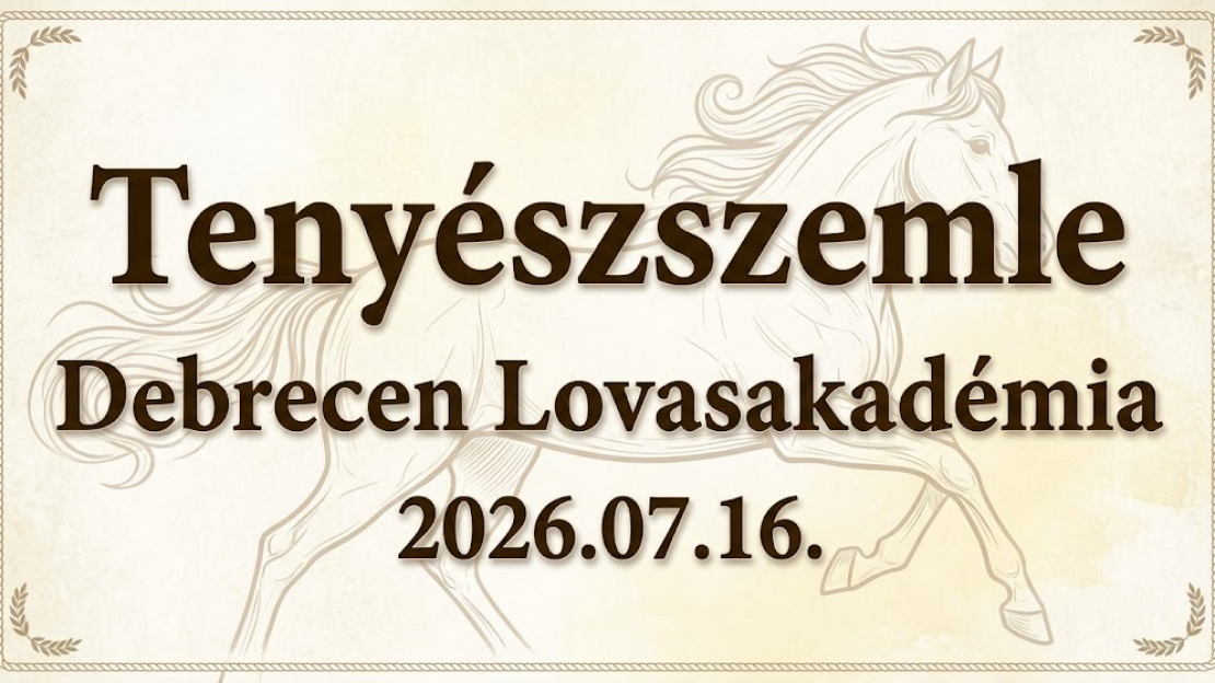 Tenyszem kép